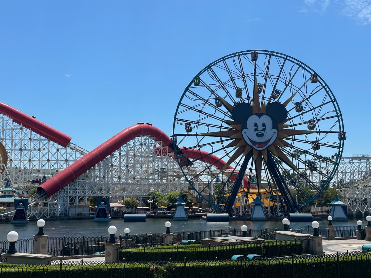 Disney character experiences