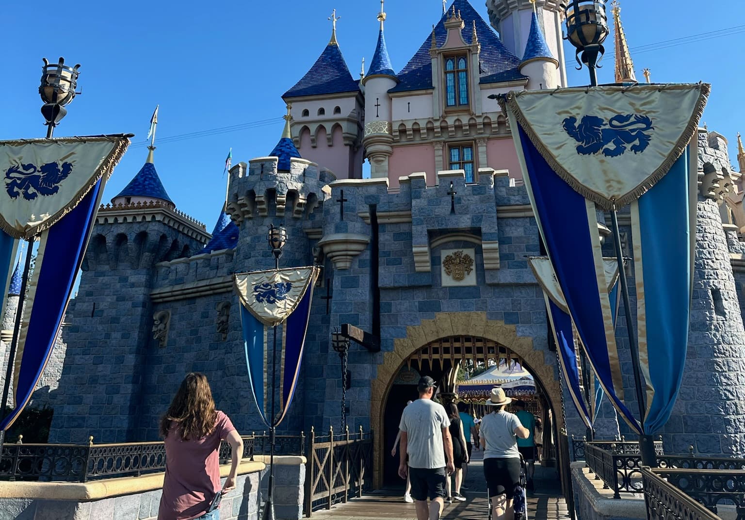 disney castle photo